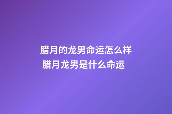 腊月的龙男命运怎么样 腊月龙男是什么命运-第1张-观点-玄机派